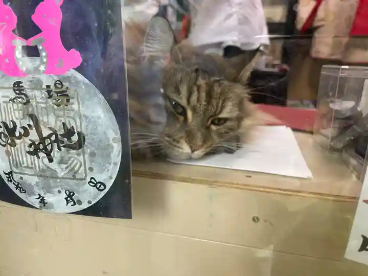 馬場氷川神社(埼玉県)