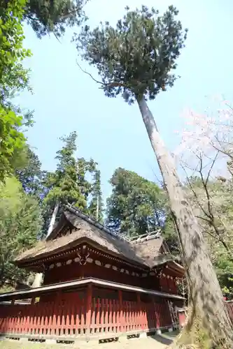 八王寺(埼玉県)