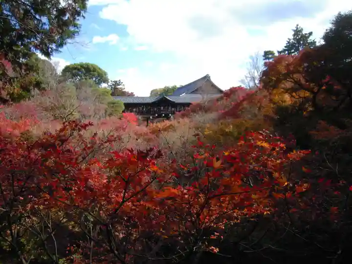 東福禅寺(東福寺)の自然