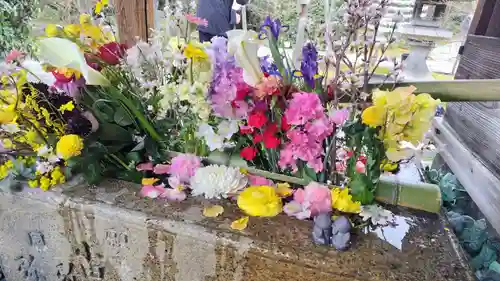 勝林寺(京都府)