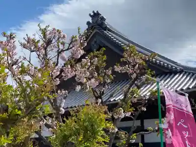宣隆寺のその他建物