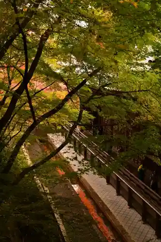 禅林寺（永観堂）(京都府)