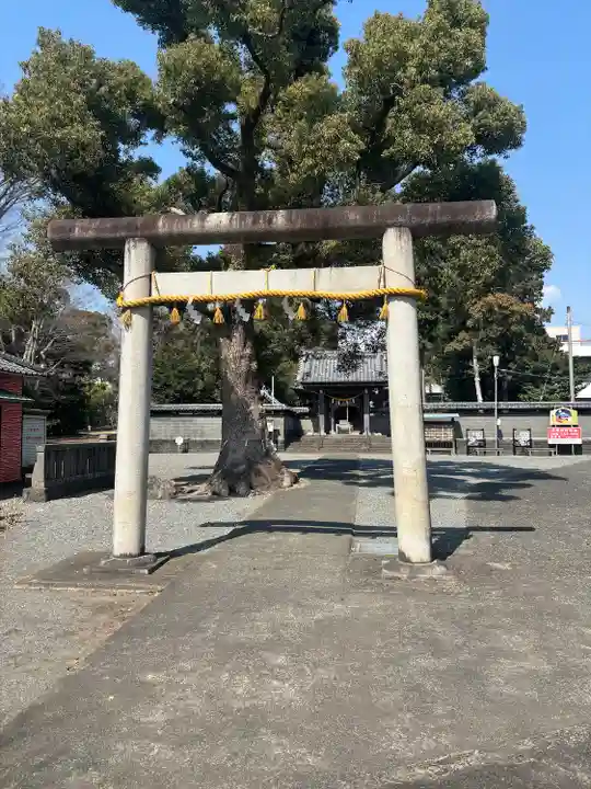 日吉浅間神社(静岡県)