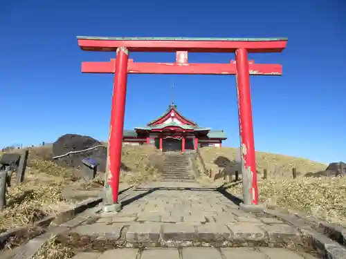 箱根元宮の鳥居