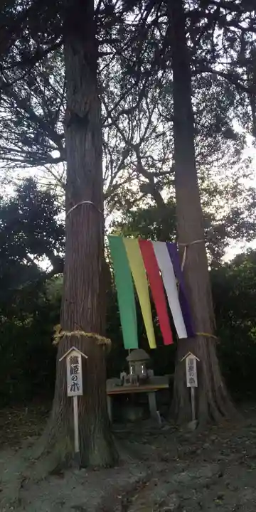 棚機神社の自然