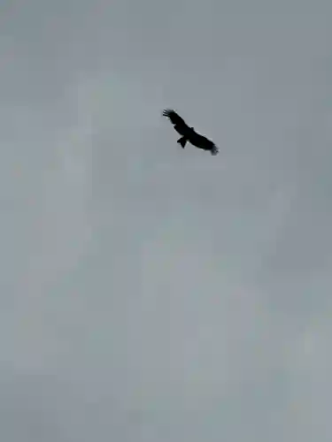 吉祥草寺(奈良県)