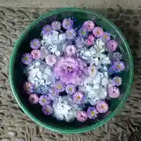 帯廣神社の手水舎