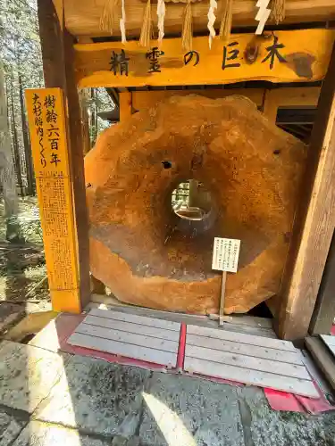 日光大室高龗神社の{uncategorized: "未分類", other: "その他", undefined: "問題あり", building: "その他建物", grave: "お墓", sacred_gate: "鳥居", guardian: "狛犬", statue: "像", buddha: "仏像", history: "歴史", nature: "自然", garden: "庭園", animal: "動物", pagoda: "塔", temizu: "手水舎", mountain_gate: "山門・神門", sanctuary: "本殿・本堂", subordinate: "末社・摂社", art: "芸術", scenery: "景色", jizo: "地蔵", ema: "絵馬", goshuin: "御朱印", omikuji: "おみくじ", items: "授与品その他", amulet: "お守り", goshuincho: "御朱印帳", eats: "食事", festival: "お祭り", votive_dance: "神楽", shichigosan: "七五三参", wedding: "結婚式", experience: "体験その他", initially: "初詣", around: "周辺", anti_infection: "感染症対策"}