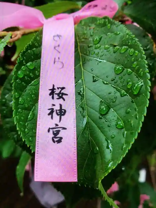 桜神宮(東京都)