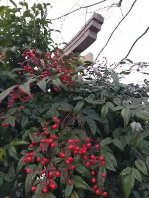 總社 和田八幡宮(福井県)