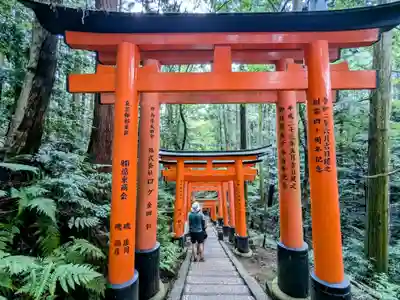 伏見稲荷大社(京都府)