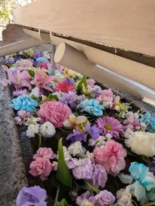 鳩森八幡神社(東京都)