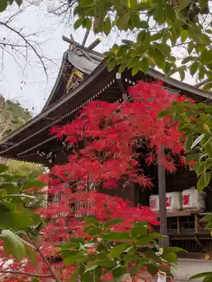 熊野神社(東京都)