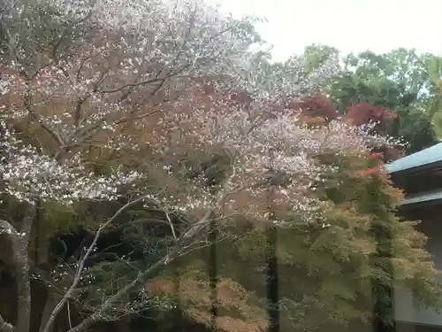 倭姫宮（皇大神宮別宮）(三重県)