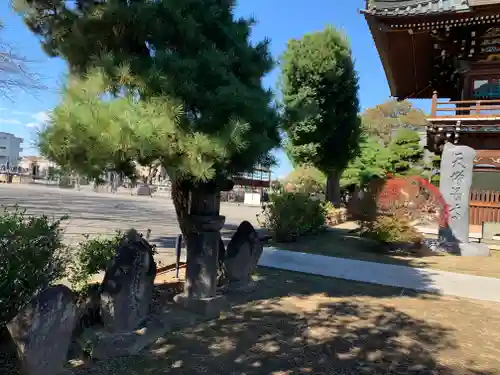 天増寺のその他建物