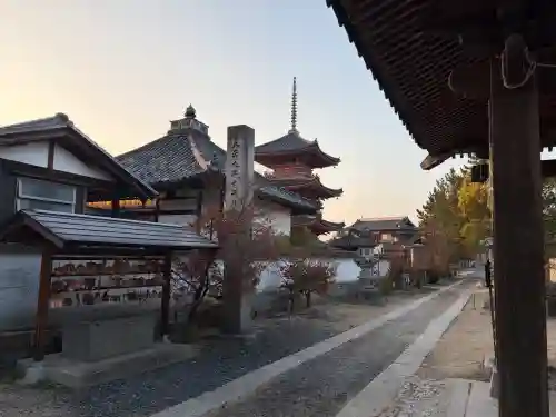 遍照院の{uncategorized: "未分類", other: "その他", undefined: "問題あり", building: "その他建物", grave: "お墓", sacred_gate: "鳥居", guardian: "狛犬", statue: "像", buddha: "仏像", history: "歴史", nature: "自然", garden: "庭園", animal: "動物", pagoda: "塔", temizu: "手水舎", mountain_gate: "山門・神門", sanctuary: "本殿・本堂", subordinate: "末社・摂社", art: "芸術", scenery: "景色", jizo: "地蔵", ema: "絵馬", goshuin: "御朱印", omikuji: "おみくじ", items: "授与品その他", amulet: "お守り", goshuincho: "御朱印帳", eats: "食事", festival: "お祭り", votive_dance: "神楽", shichigosan: "七五三参", wedding: "結婚式", experience: "体験その他", initially: "初詣", around: "周辺", anti_infection: "感染症対策"}