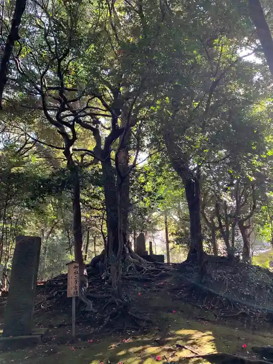 姉埼神社の自然