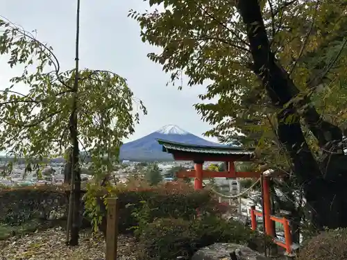 新倉富士浅間神社(山梨県)