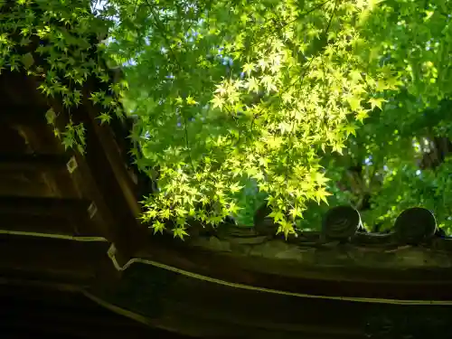 四合稲荷神社(東京都)