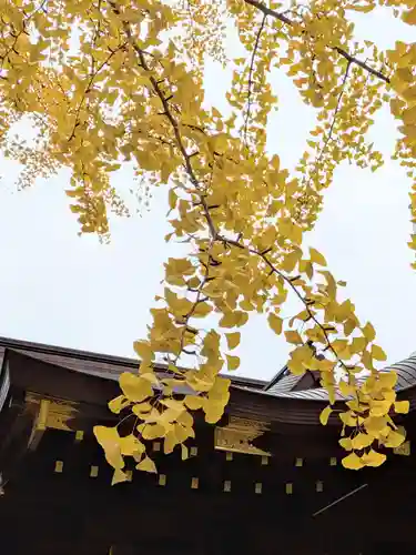 渋谷氷川神社(東京都)