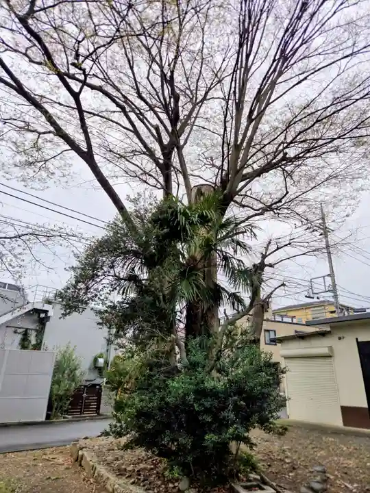 八幡大神社(東京都)