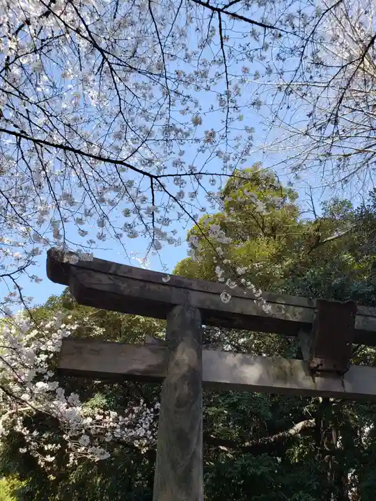 渋谷氷川神社の自然