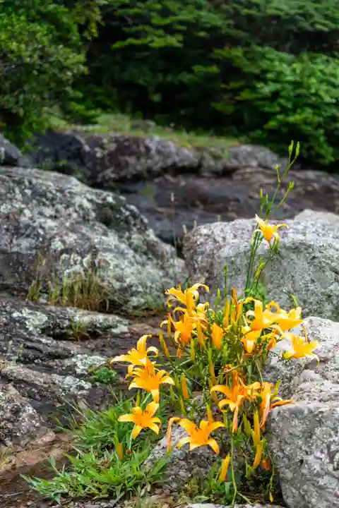 大御神社(宮崎県)