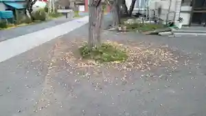 帰厚院(北海道)(2021年11月09日(火) 19時50分50秒投稿)