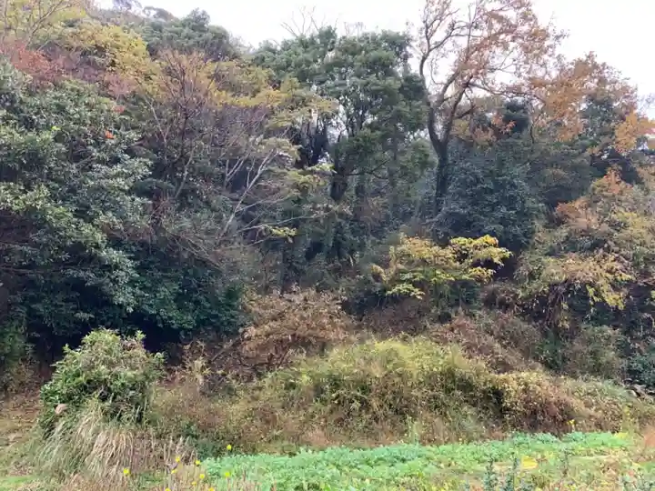 神社(名称不明)の周辺