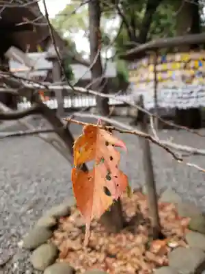 阿佐ヶ谷神明宮(東京都)