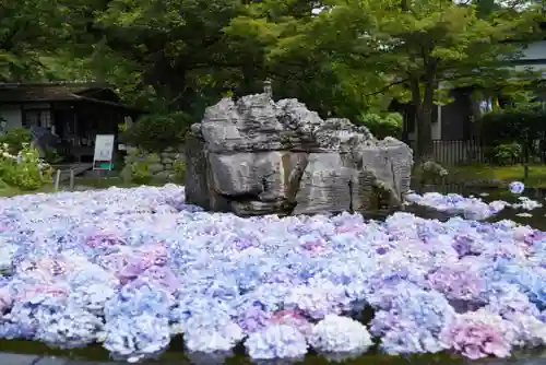 久安寺の庭園