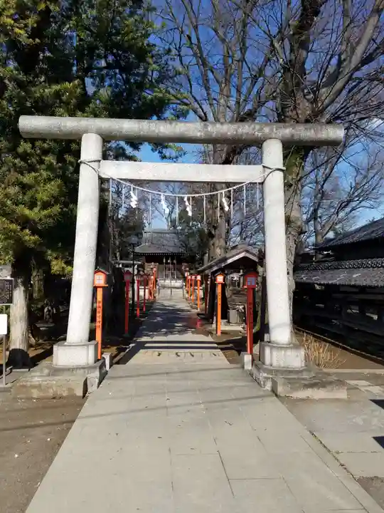 氷川神社の鳥居