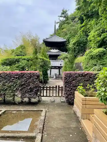 本蓮寺の塔