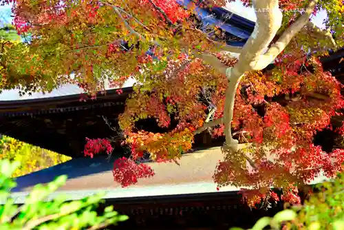 建長寺(神奈川県)