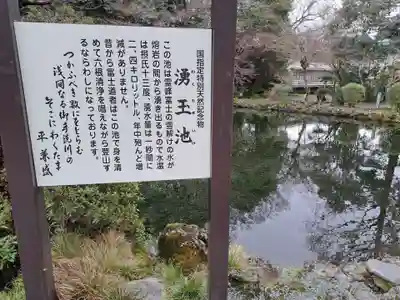 富士山本宮浅間大社(静岡県)