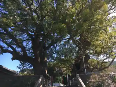 山王神社(長崎県)