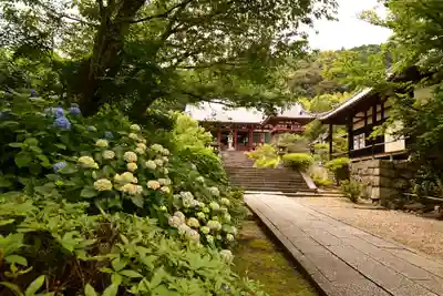 矢田寺(奈良県)