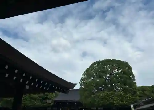 明治神宮(東京都)