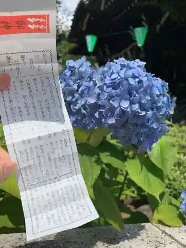 白山神社のおみくじ