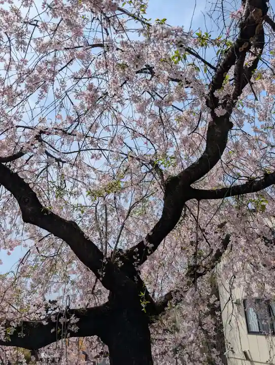根岸八幡神社(神奈川県)