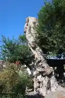 蔵林寺(京都府)