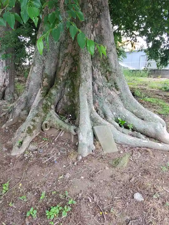 日枝神社(栃木県)
