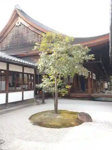 建仁寺（建仁禅寺）の庭園