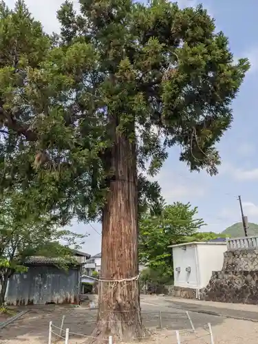 二ノ宮神社の自然