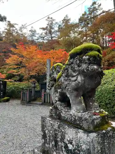 古峯神社の狛犬