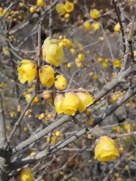 横浜 西方寺(神奈川県)
