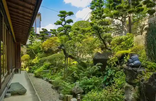 秋月院の庭園