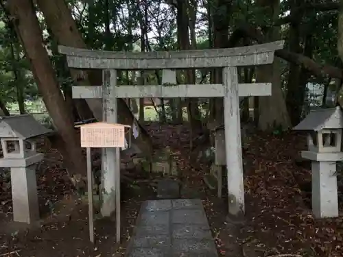 出雲大社の鳥居