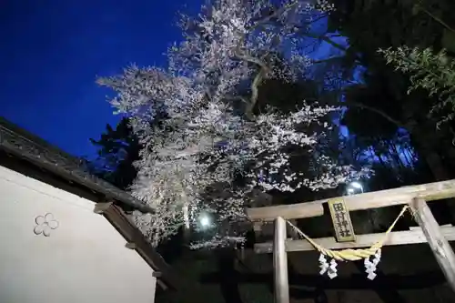 田村神社の鳥居