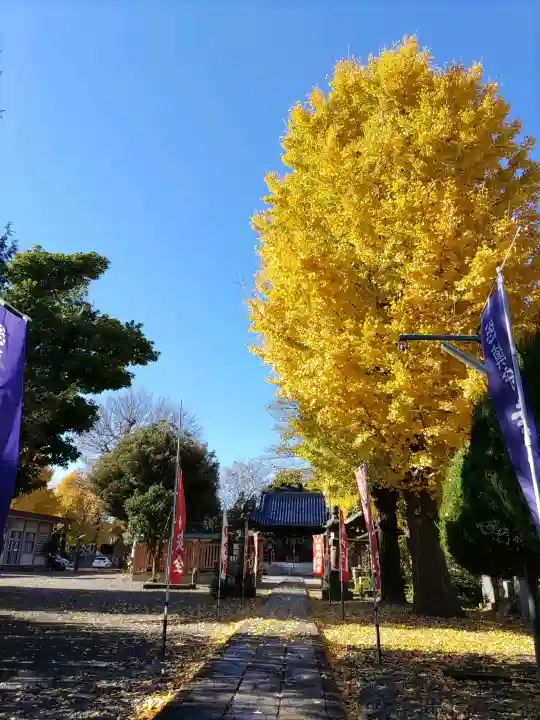 幸宮神社(埼玉県)